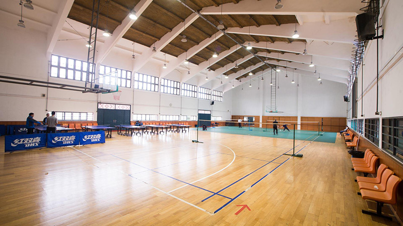 麻豆免费下载公司