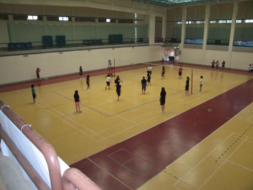 學校球場木地板施工